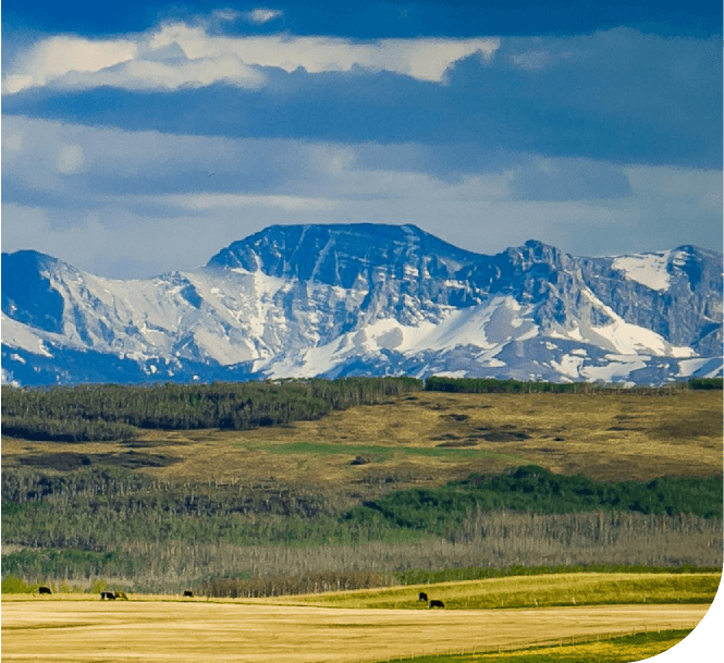 A large open field with mountains in the background.
